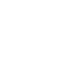 White leaf icon representing natural pest control solutions for OBEX Pest Defense's mosquito control services.