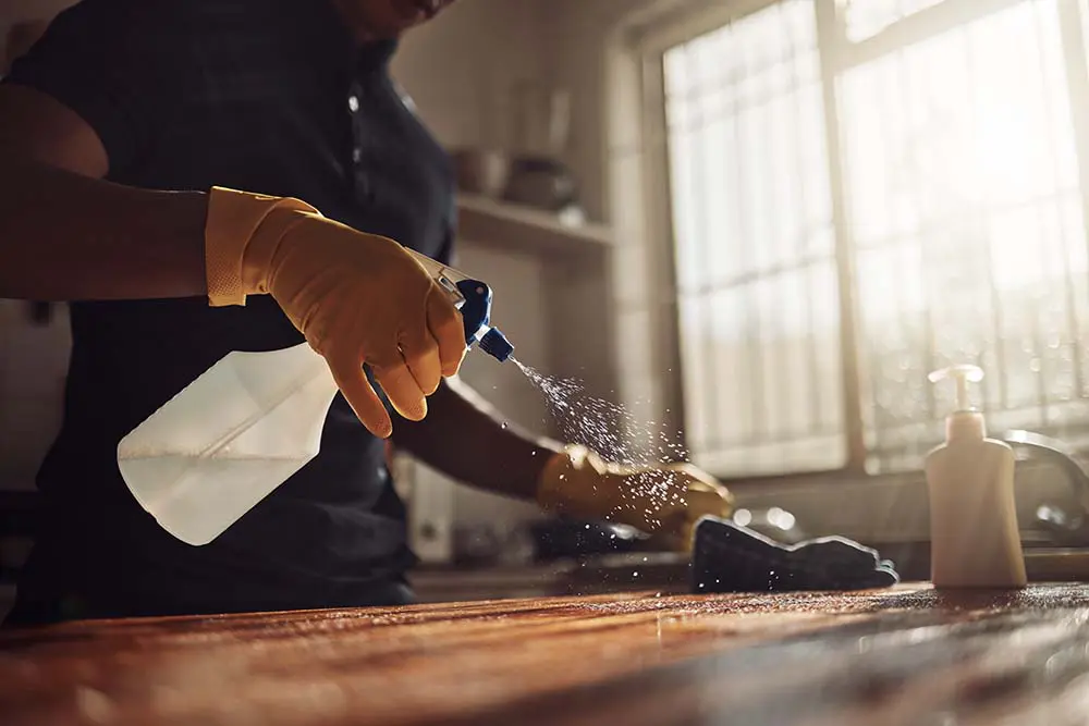 A person wearing protective gloves sprays disinfectant on a kitchen counter, demonstrating how to properly clean up after a rodent infestation.